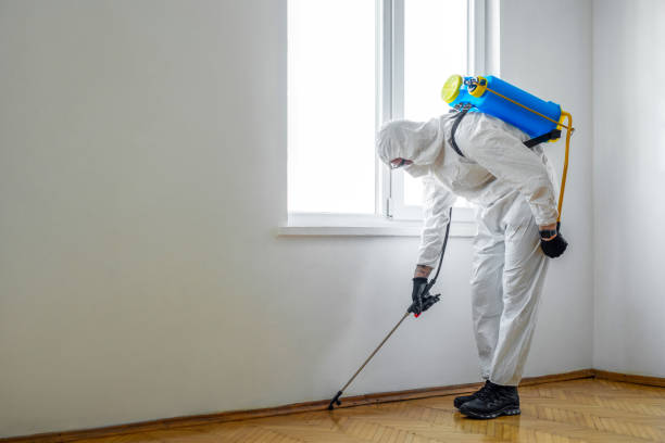 Best Pest Exclusion Services  in Anna, IL